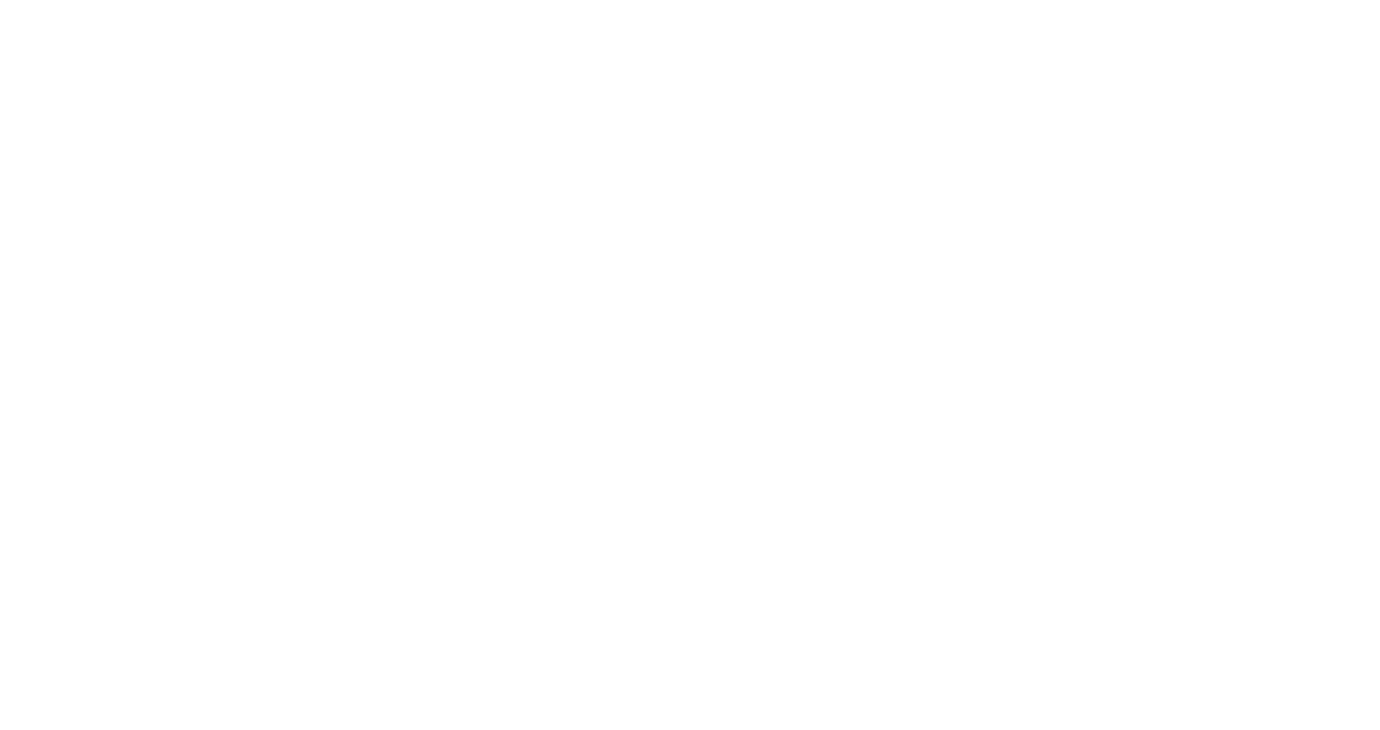 Partner logo 101