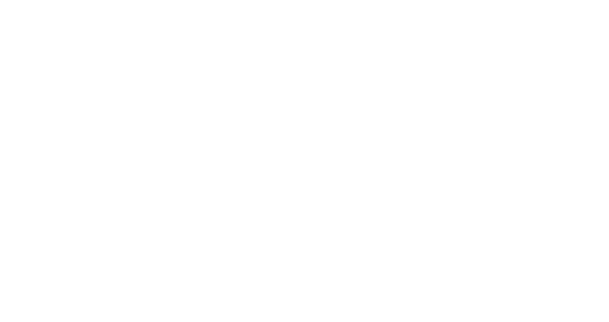 Partner logo 113
