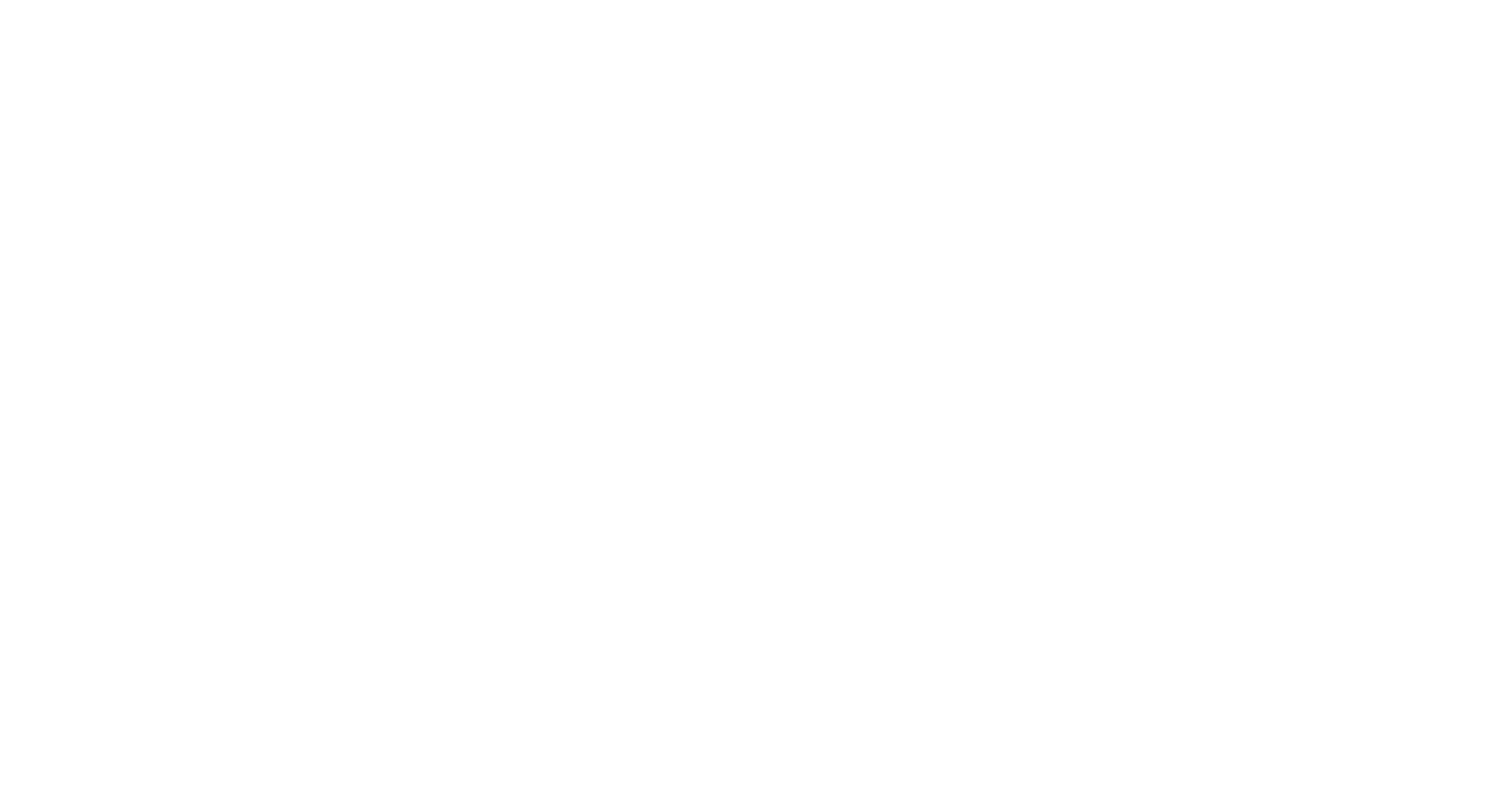 Partner logo 75