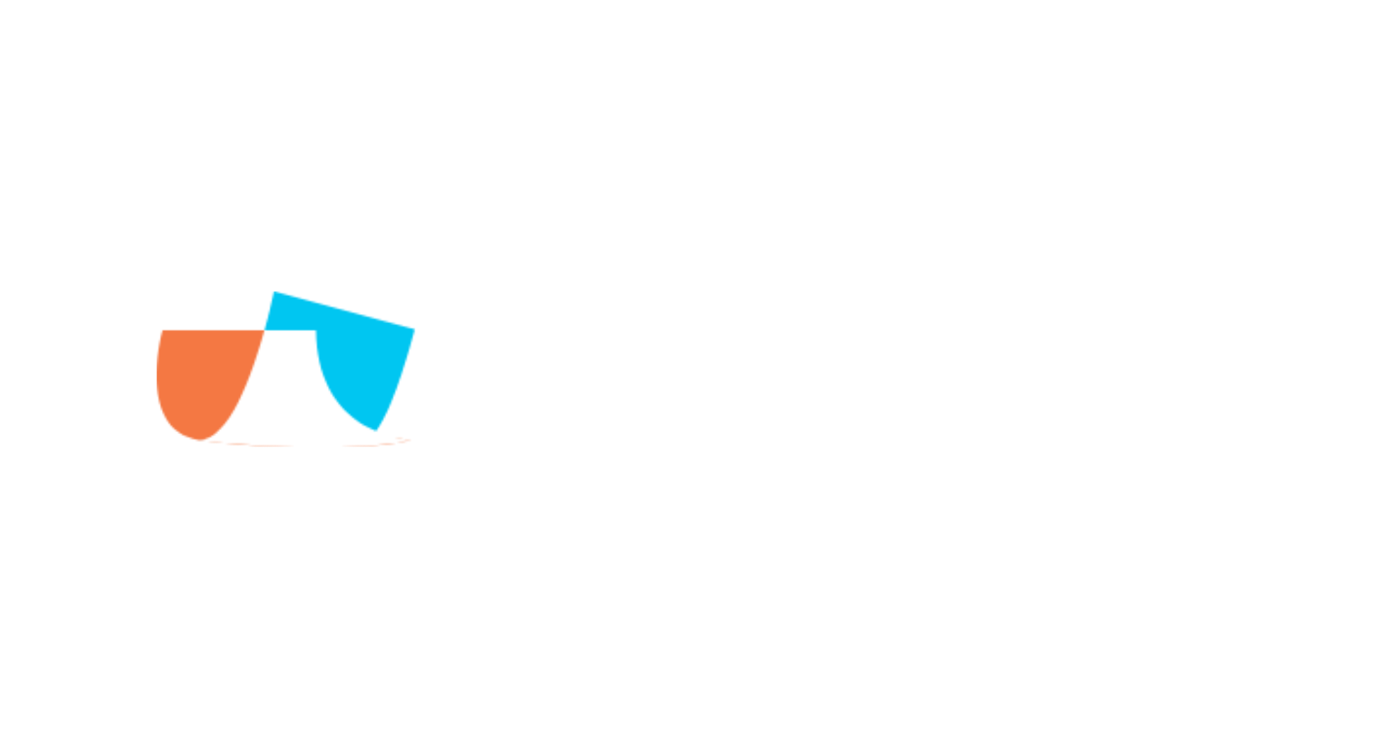 Partner logo 85