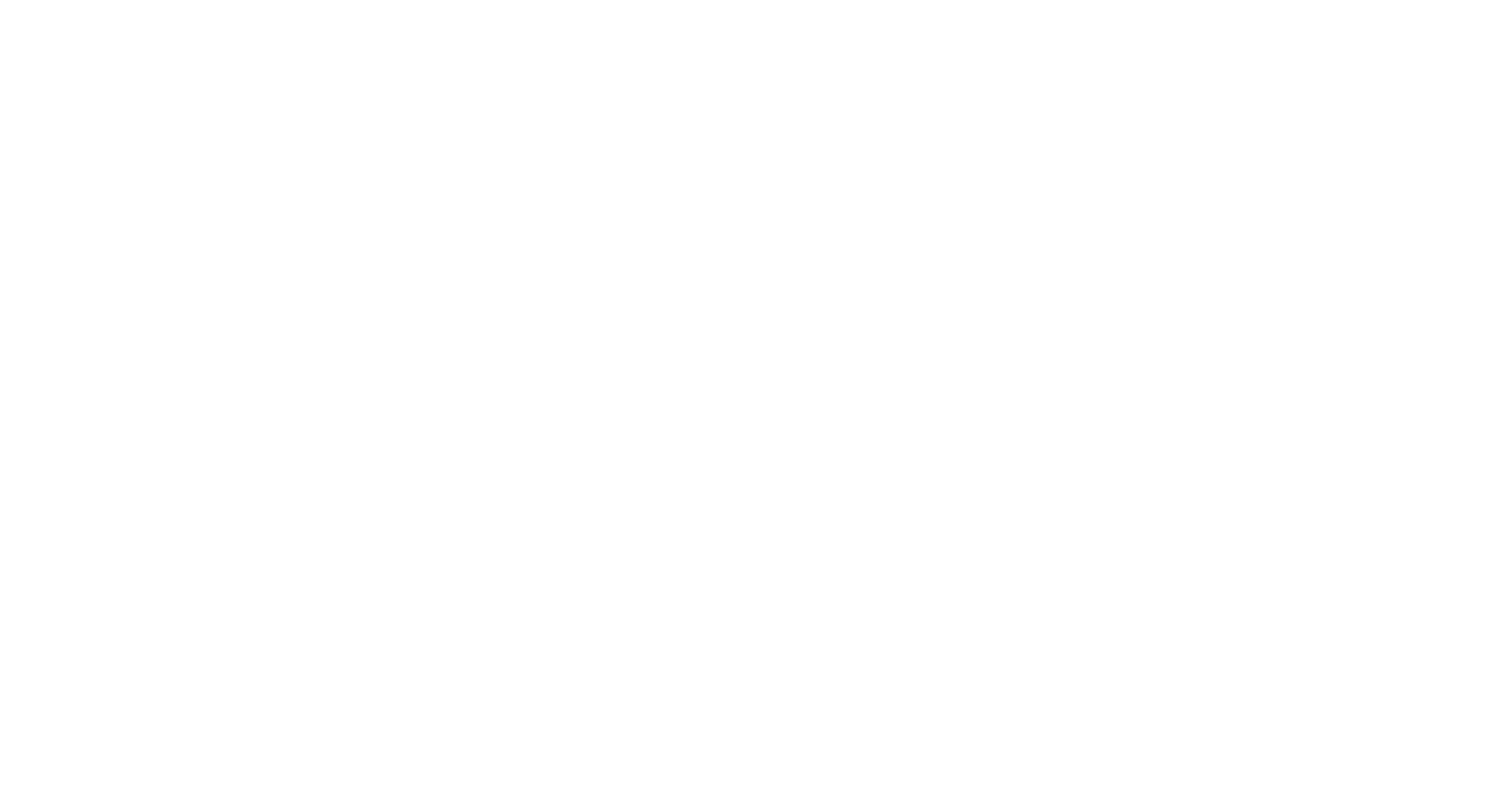 Partner logo 90