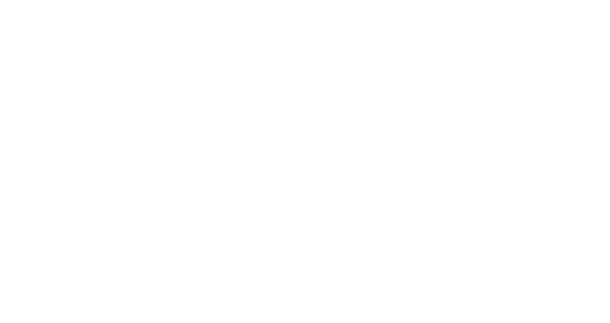 Partner logo 91